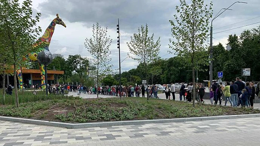 Карантин надоел: у киевского зоопарка возникла огромная очередь