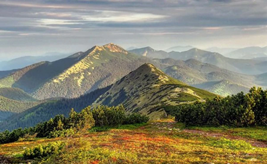 Уряд вирішив взятися за Карпати