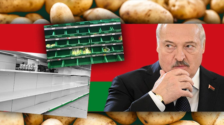 У Білорусі зникла картопля. Як Лукашенко позбавив населення другого хліба