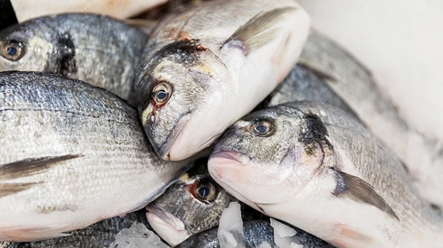 Families of conscripted Russians on Sakhalin Island are promised fish