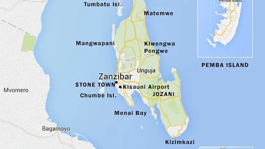 Глава ГМС и около 180 украинцев застряли на Занзибаре: сломался самолет