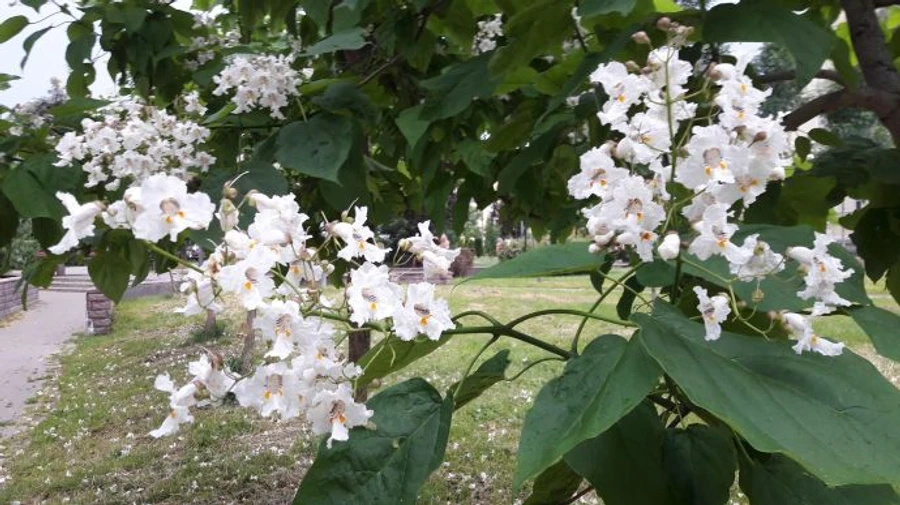 День, когда можно нормально подышать: после среды вернется жара