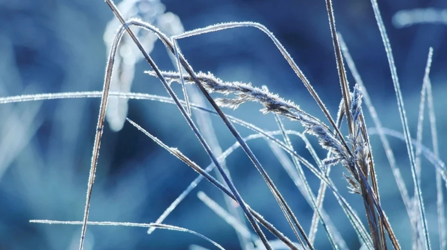 В Україні дещо похолодає, у середу подекуди прогнозують сніг