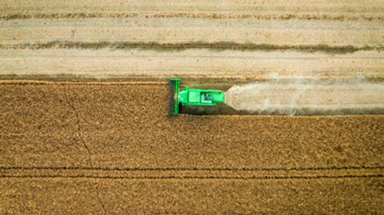 Продукти дорожчають і цінове ралі триває. Світ на порозі продовольчої кризи?