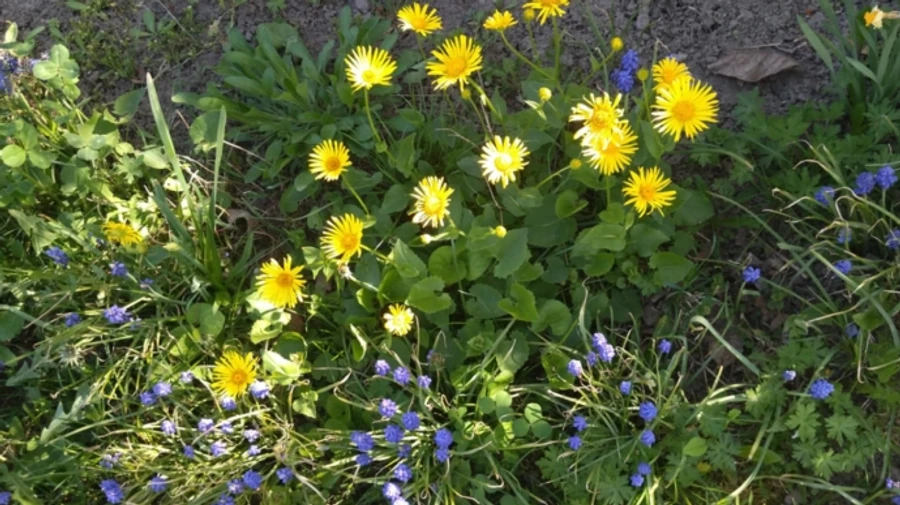 Синоптики дали прогноз на последний день апреля: преимущественно сухо, до +22°