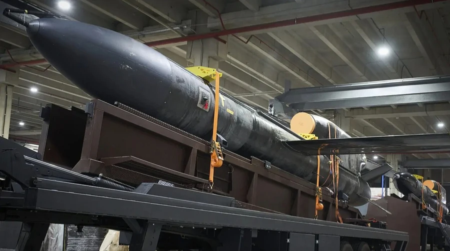 Zelenskyy reports combat use of Ukrainian-made Flamingo missile