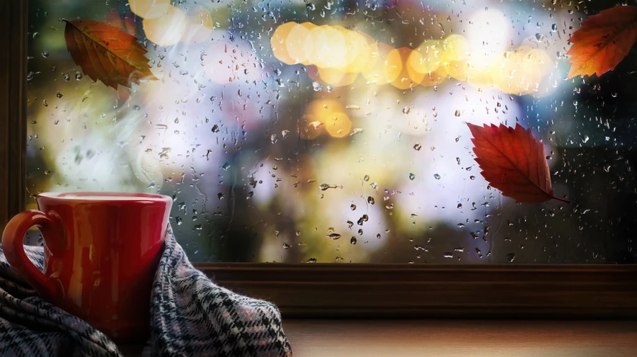 Майже по всій Україні очікують дощі