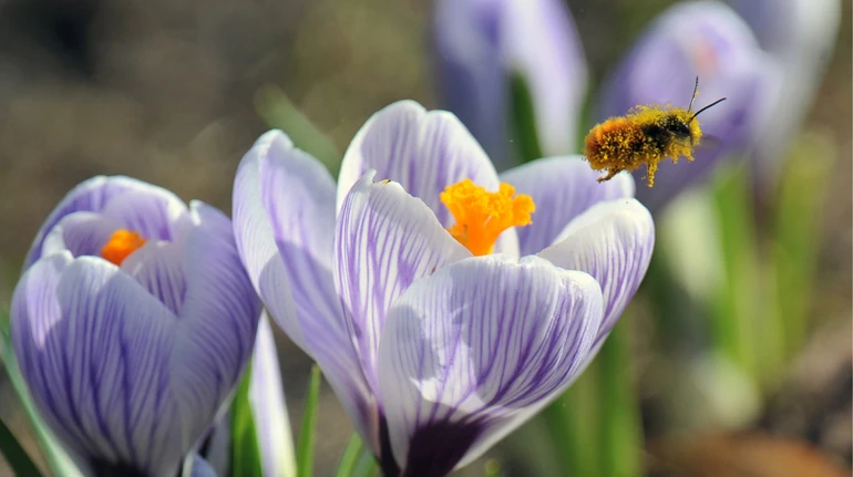 На вихідні українцям обіцяють теплу погоду без дощу