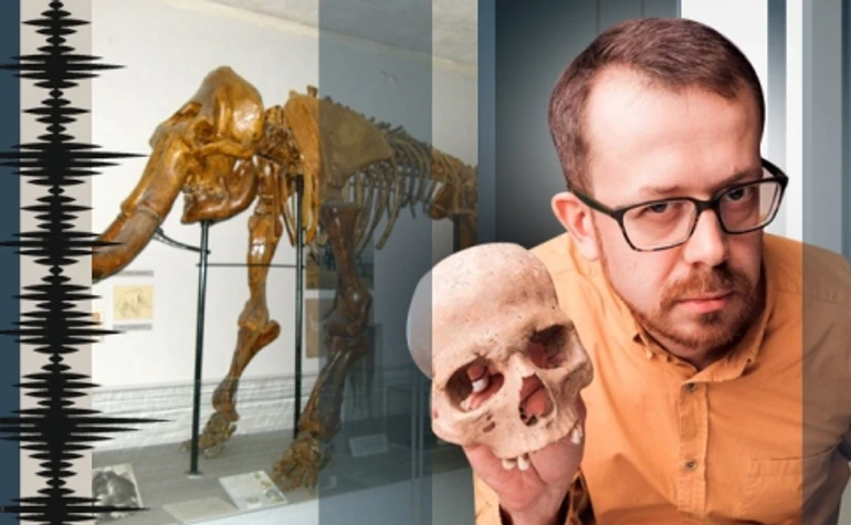 Динозавры отдыхают. О чем рассказывают скелеты и отпечатки животных в центре Киева 