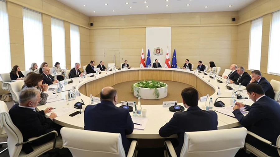 Грузія вперше підготувала звіт про відповідність критеріям вступу в ЄС