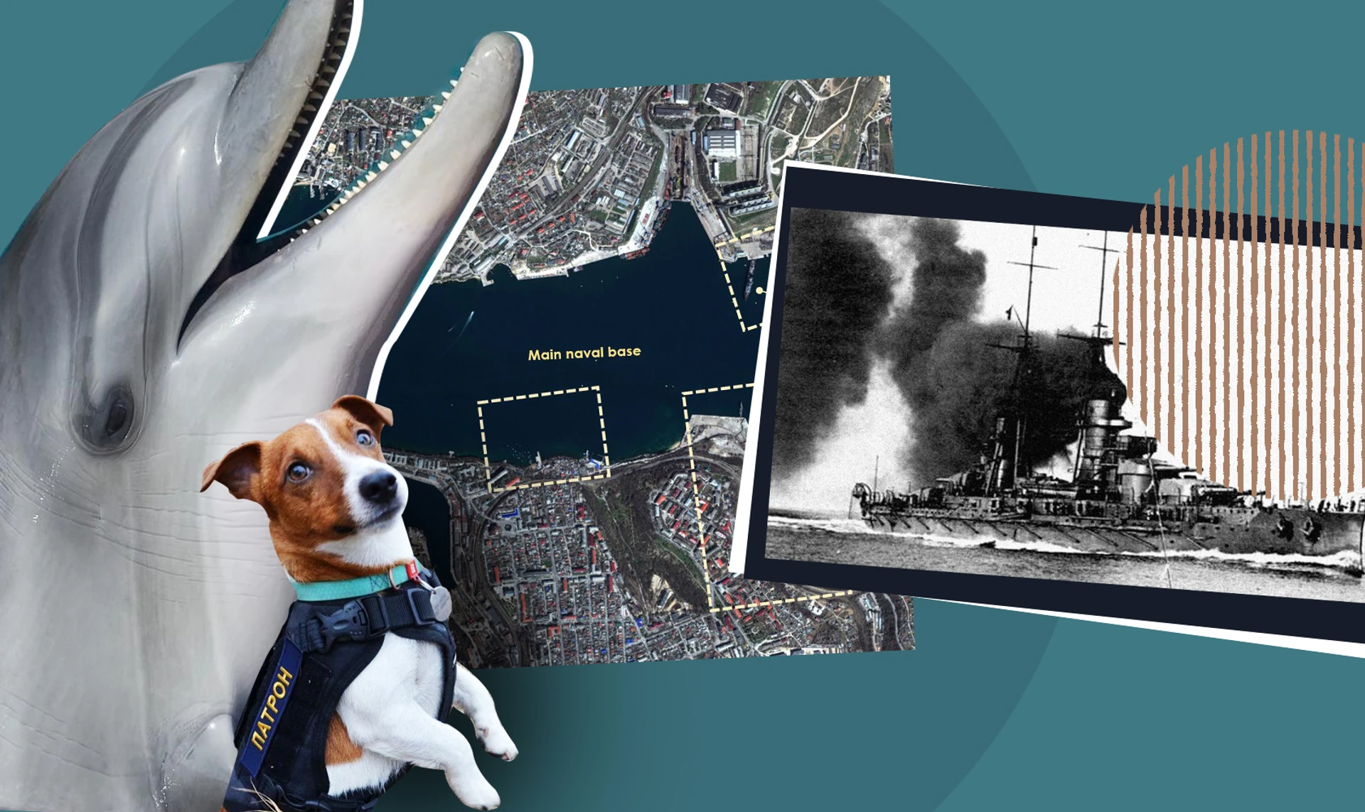 Бойові дельфіни, загибель лінкора Новороссийск, підводні диверсанти і песик Патрон 