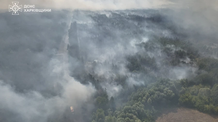 Рятувальники 2 доби гасять пожежу у лісі під Балаклією