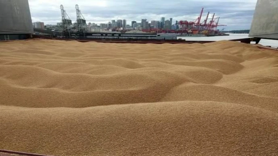 Occupiers take away another 1,500 tonnes of stolen grain from Mariupol port