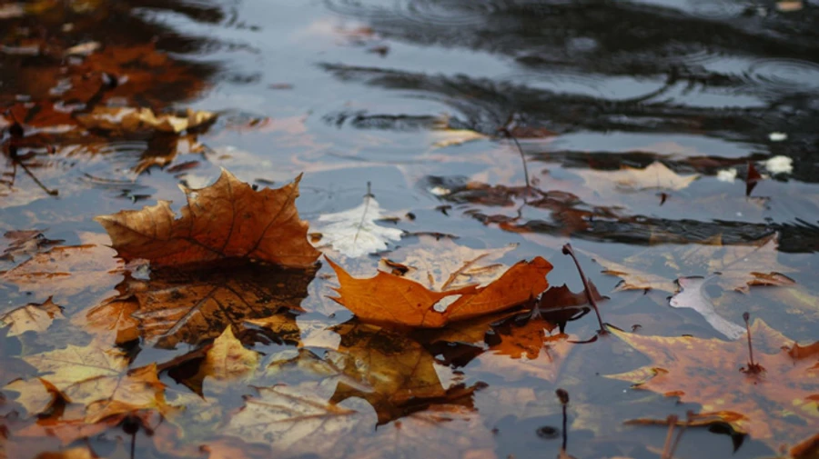 Синоптик розповіла, коли чекати похолодання і дощів 