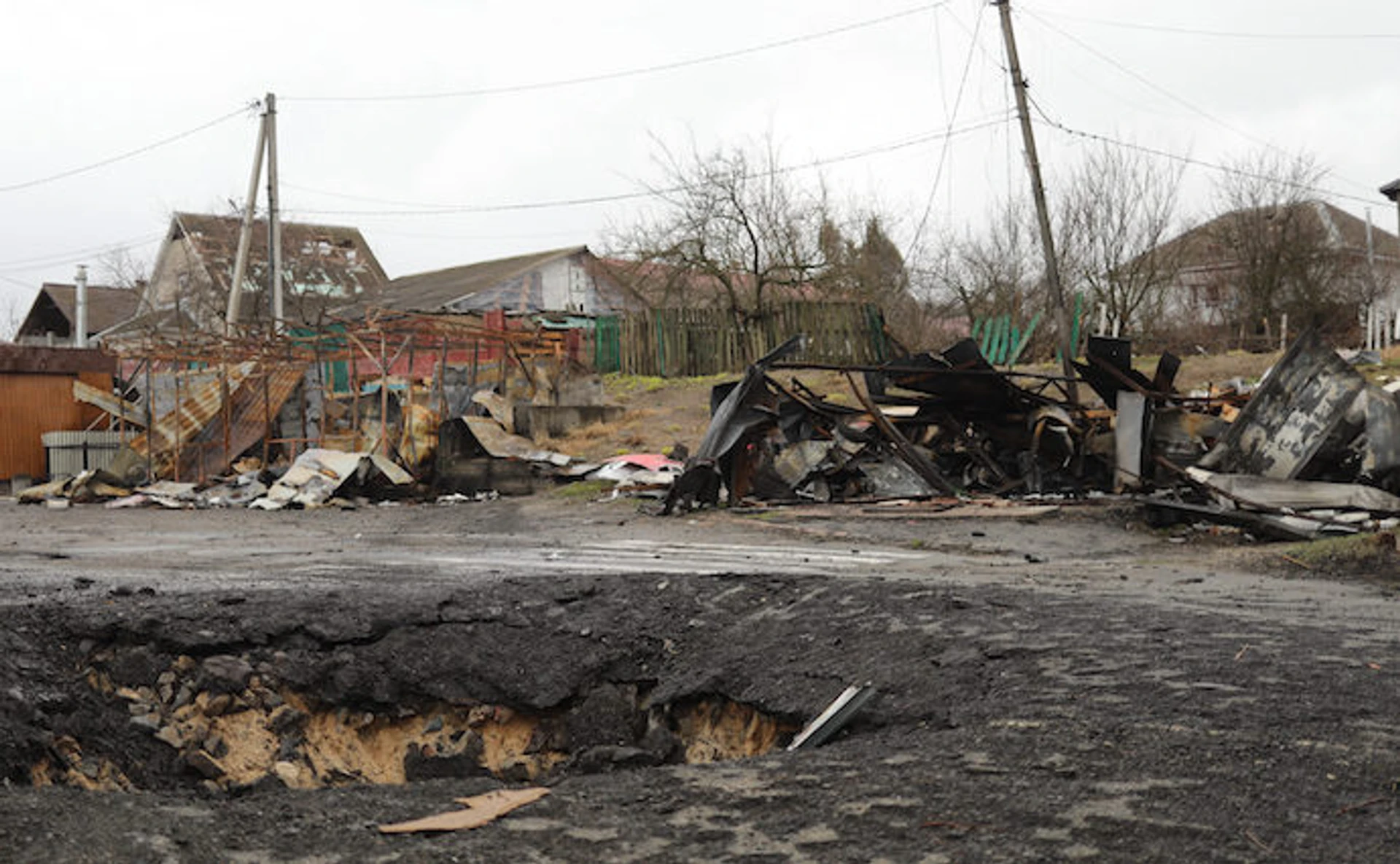 Димер: як зоопарк XII місяців, кінне ранчо та мешканці громади пережили окупацію