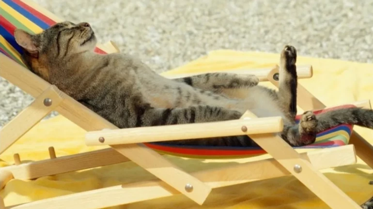 Синоптик сообщила, когда начнет спадать пик жары