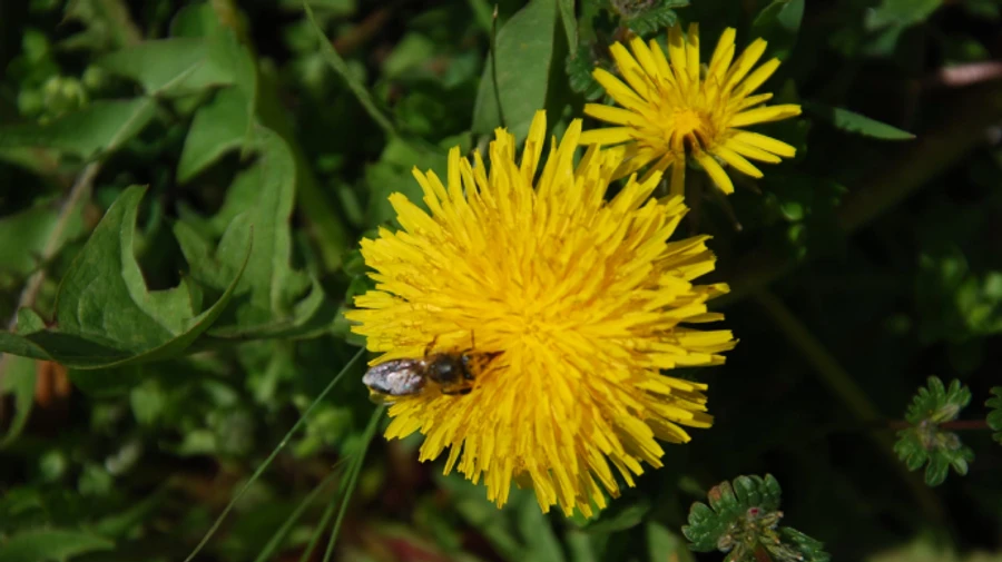 На выходные погода порадует украинцев теплом