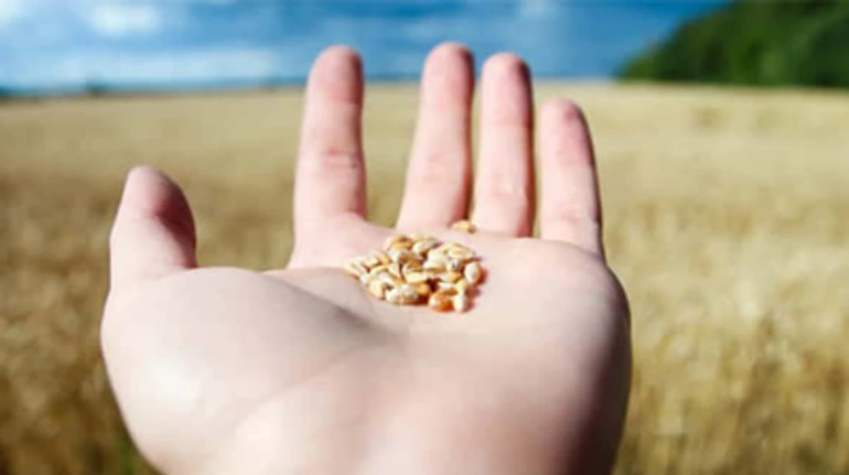 Время пересматривать: как Украине вести диалог с ЕС об увеличении квот