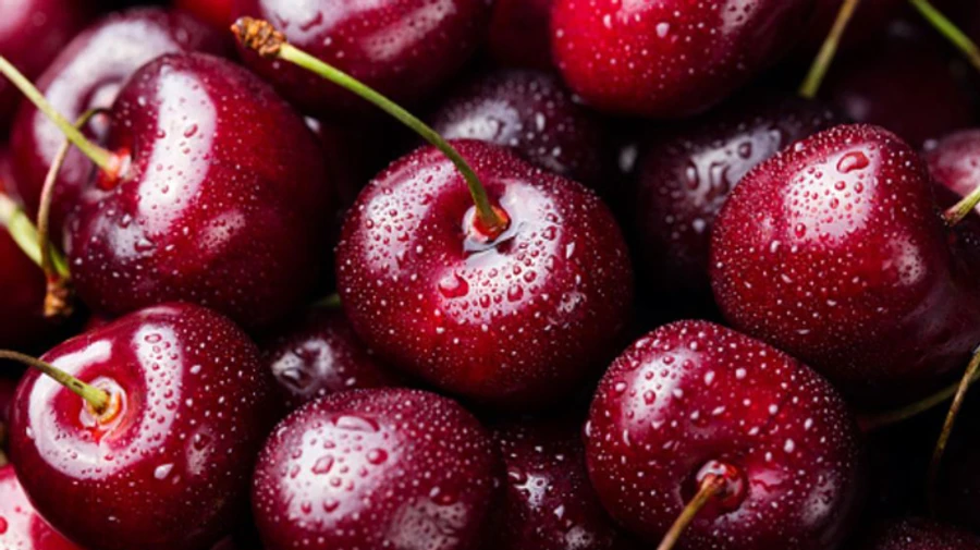 Оккупанты вывозят в Крым черешню из Мелитополя и хвастаются обвалом цен