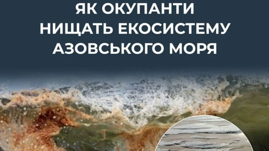 ЦПД повідомляє про масовий мор риби й крабів в Азовському морі
