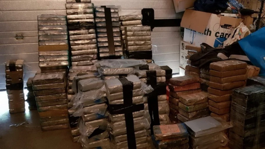 На ферме близ Амстердама нашли 3 тонны кокаина и 11 млн евро наличных