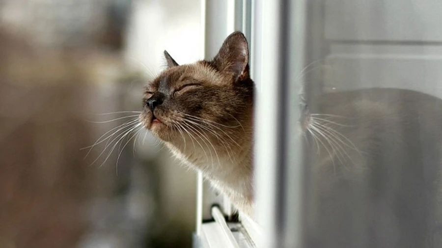 В Україну повертається тепло, але дощі залишаться