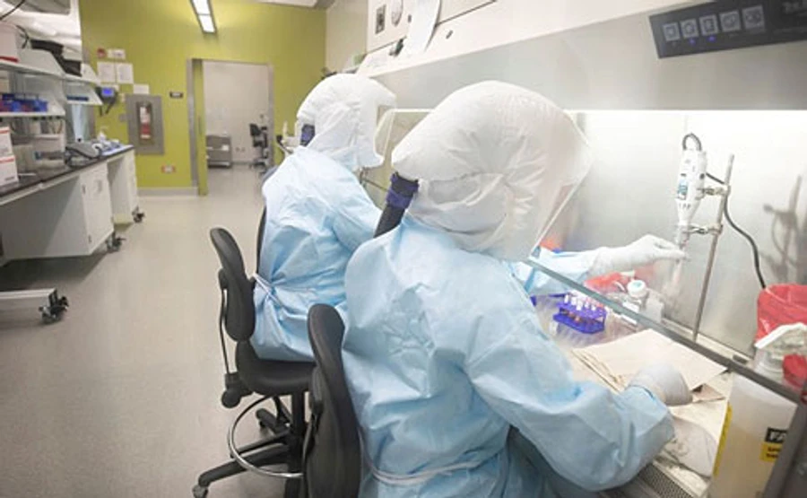 COVID-19 не имеет признаков лабораторных манипуляций – ВОЗ 