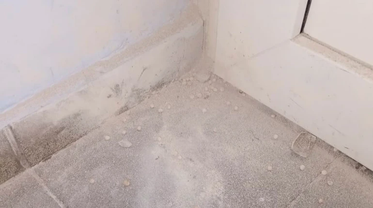 Ради развлечения: в одной из столичных школ ученик взорвал страйкбольную гранату