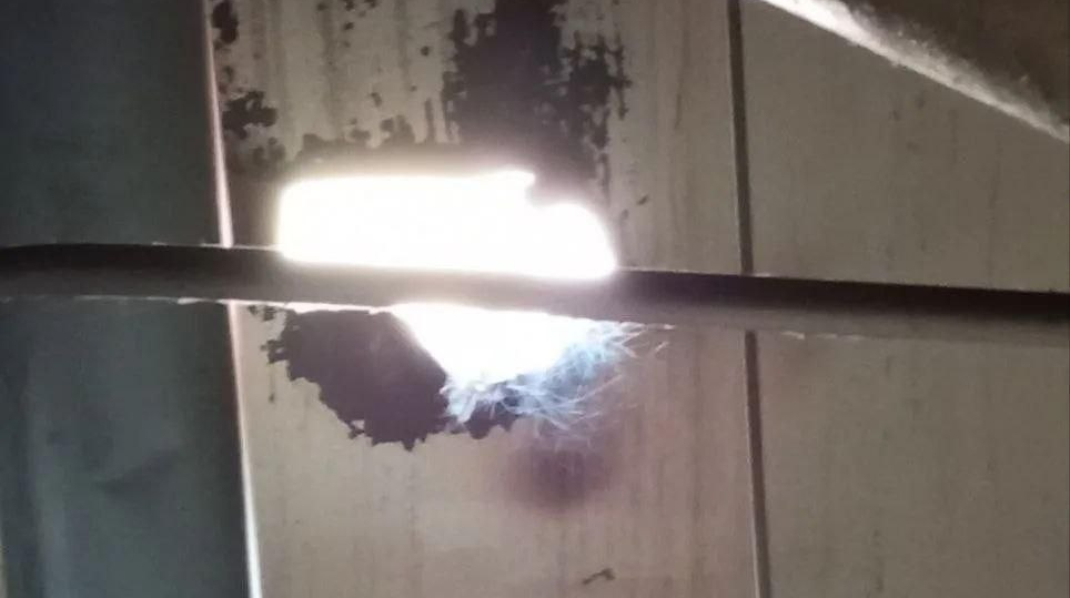 У Силах оборони спростували чергові заяви РФ про атаку на ЗАЕС: Не шкодують автомобілів