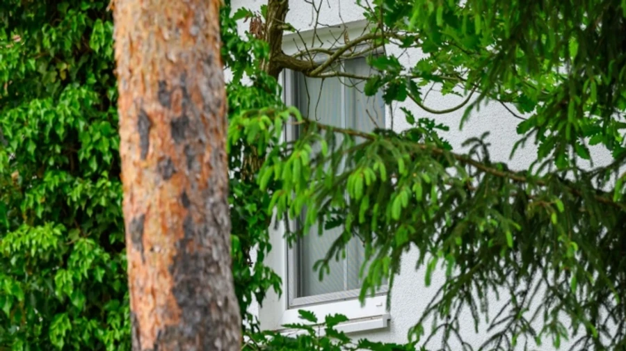 У Німеччині провели обшук: підозрюють підтримку російських бойовиків на Донбасі