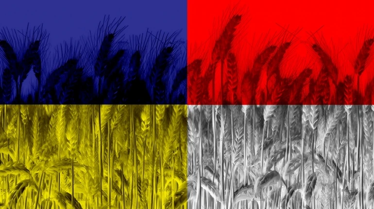 В Польше говорят, что близки к соглашению с Украиной по импорту агропродукции