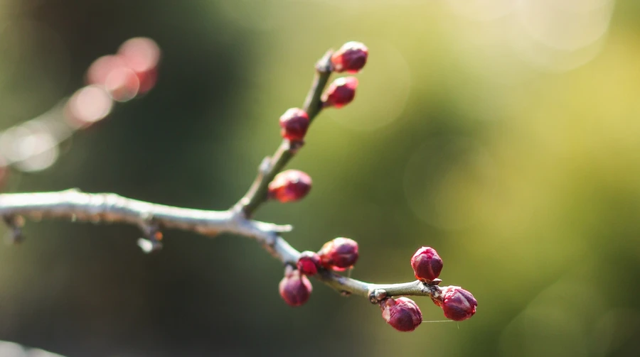 В Україні буде тепло, на південному сході невеликий дощ