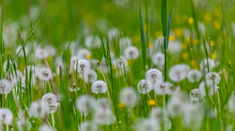Синоптики розповіли, чого чекати від погоди у травні