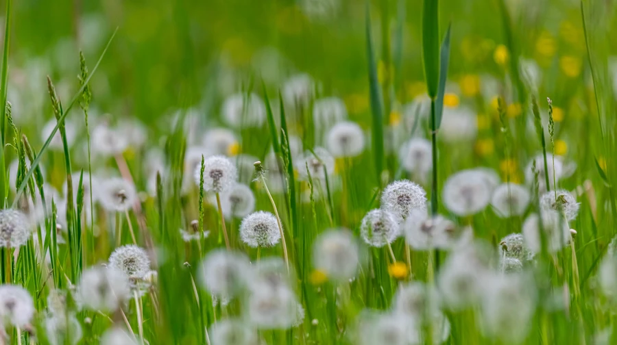 Синоптики розповіли, чого чекати від погоди у травні