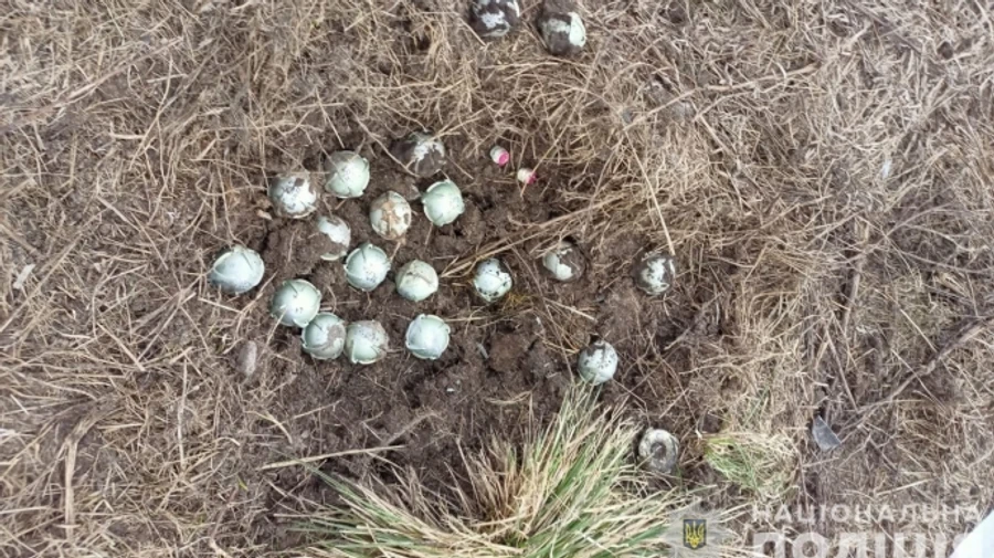 Russians remotely mine Sumy Oblast's north with spherical air bombs – photo