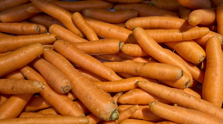 В Украине дорожает морковь: какие на нее цены