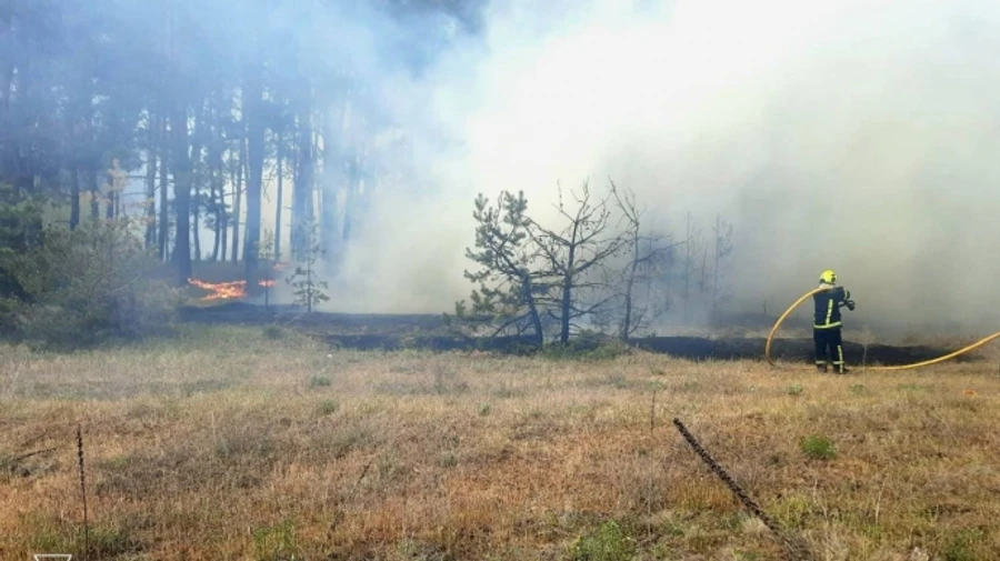 Evacuation prepared in Kharkiv Oblast due to forest fire triggered by Russian attacks and exploding munitions
