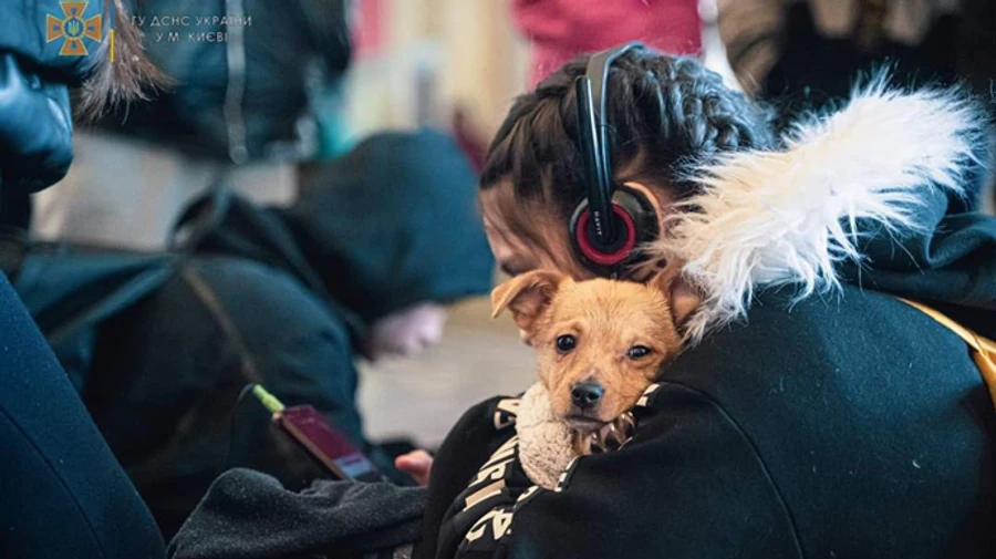 В Украине создали бюро для поиска пропавших людей