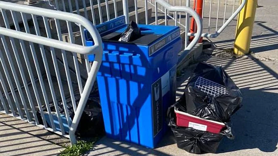 Поліція розслідує загибель 38 цуценят у літаку МАУ