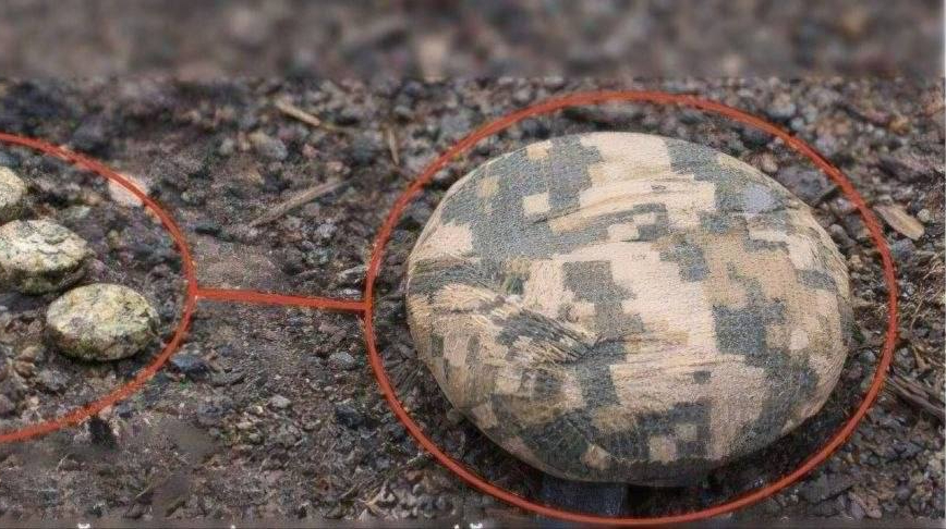 Поліцейський підірвався на міні 