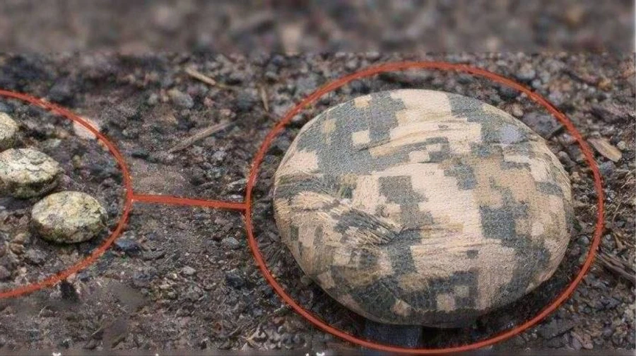 Поліцейський підірвався на міні Пряник у Херсонському районі