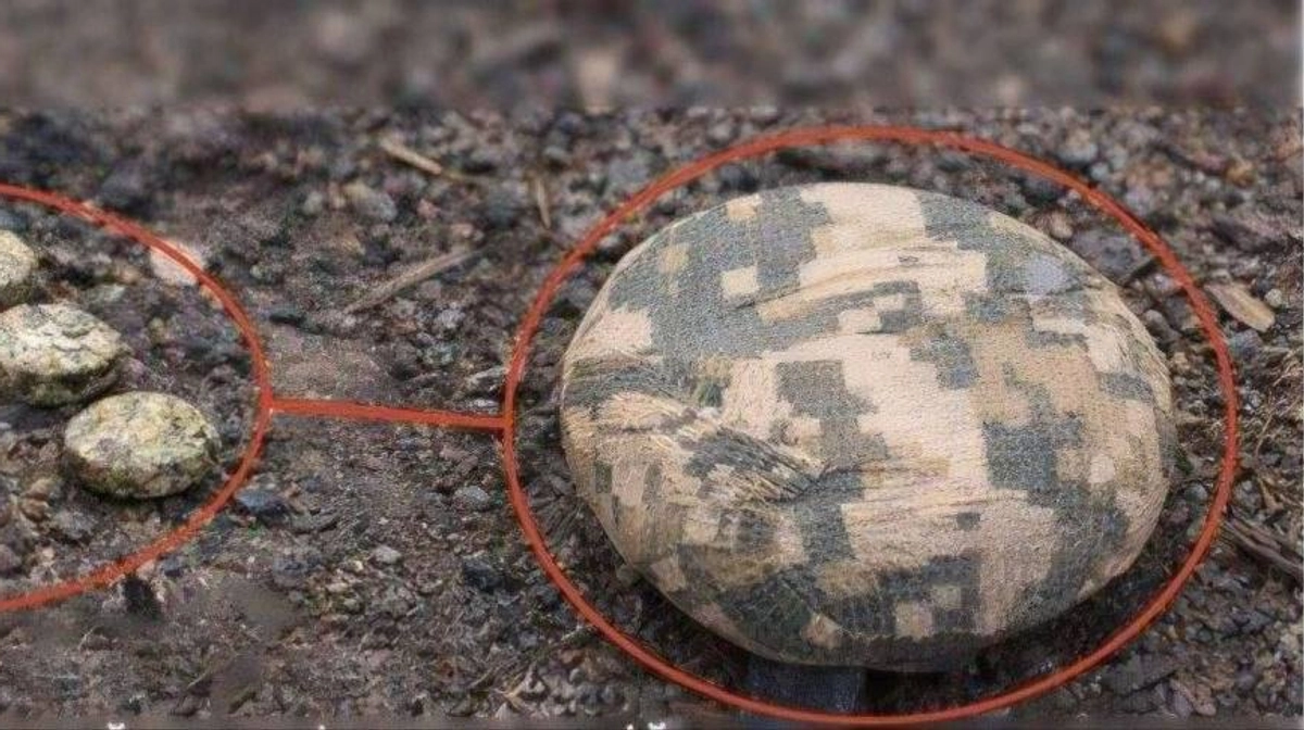 Police officer seriously injured while clearing mines in Kherson district