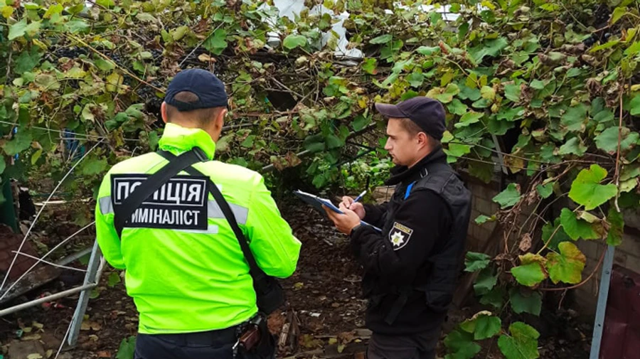 В освобожденной Каменке на Харьковщине нашли 2 мумифицированных тела в подвале – полиция