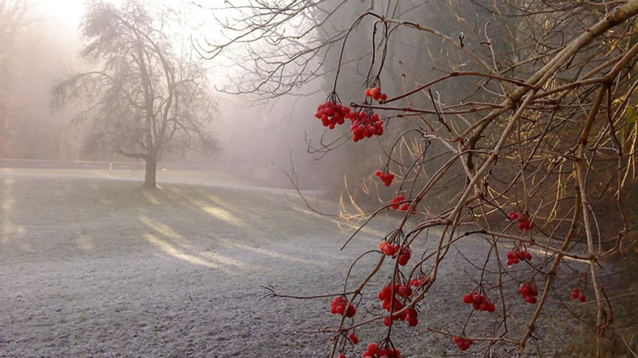 Листопад завершиться холодом і місцями дощем зі снігом