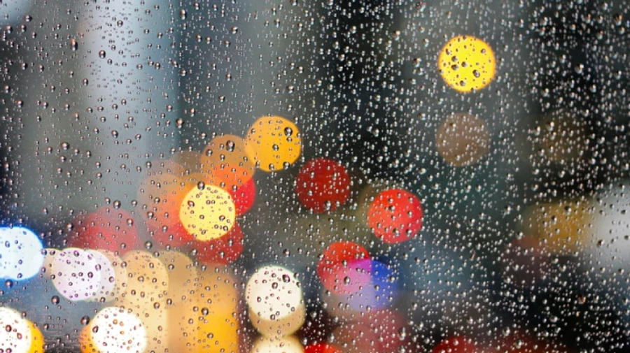 В Украине будет умеренно тепло, местами дожди и мокрый снег