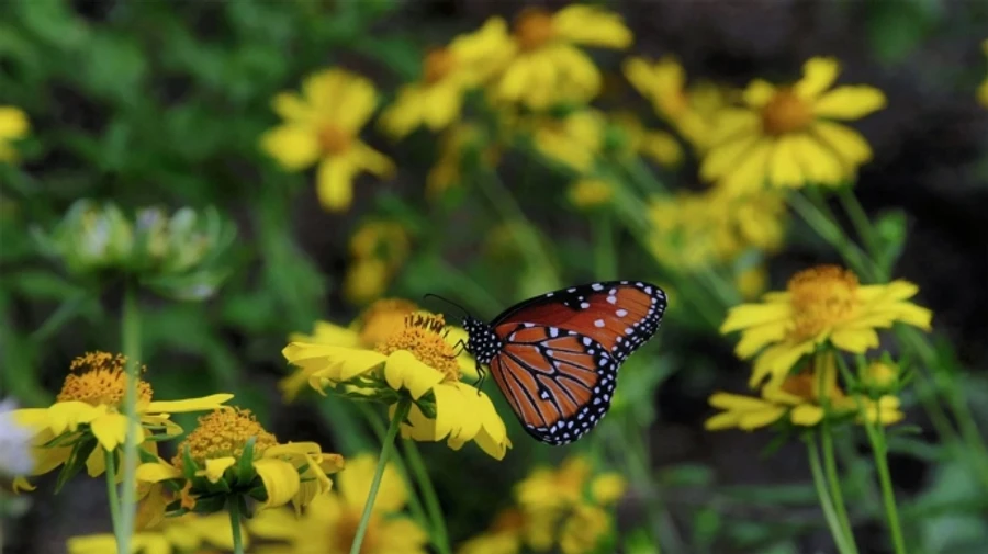 На выходных прогнозируют дожди, а в понедельник жара спадет