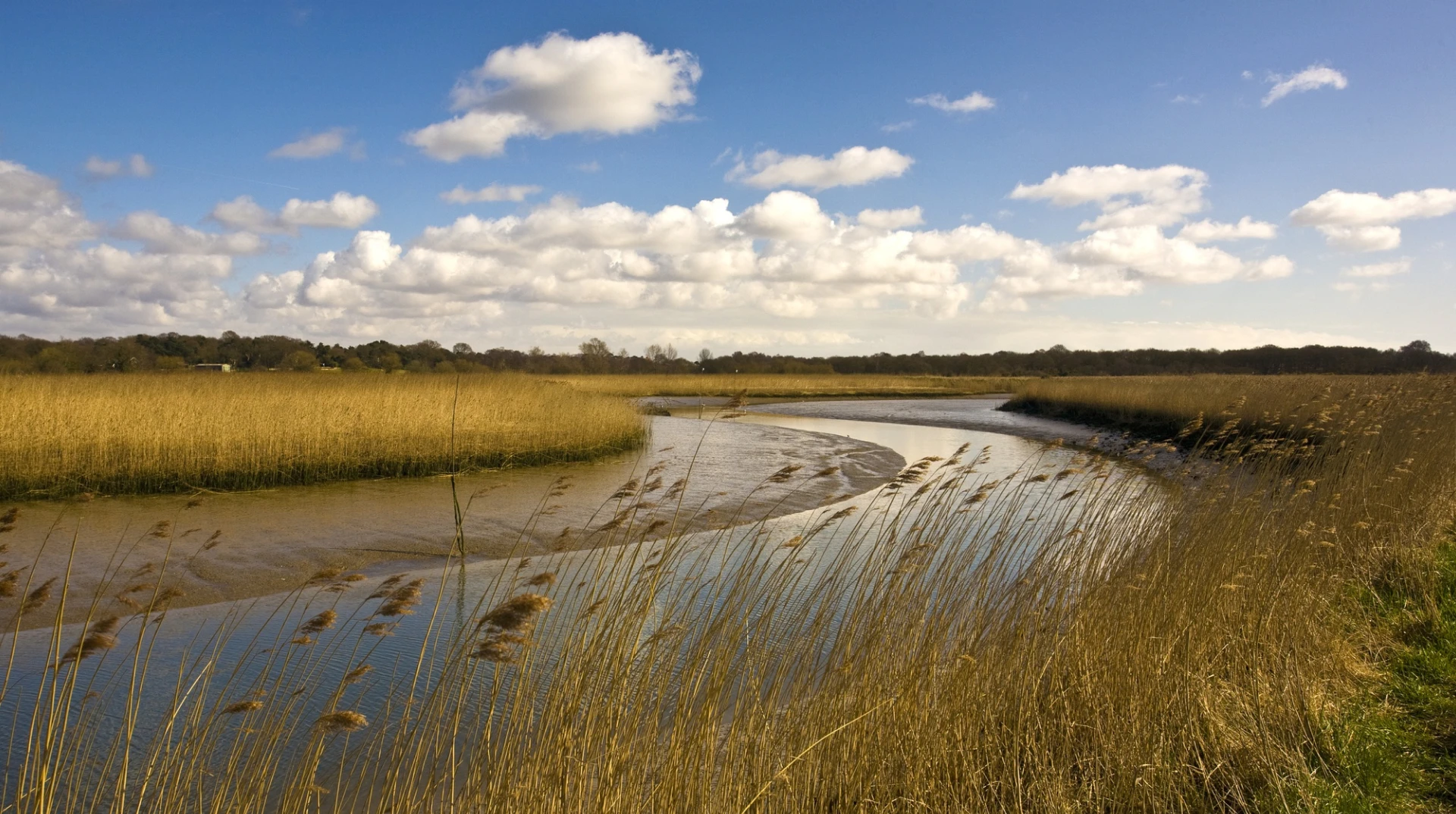 Невидима загроза: хто і як розміновуватиме річки та моря України