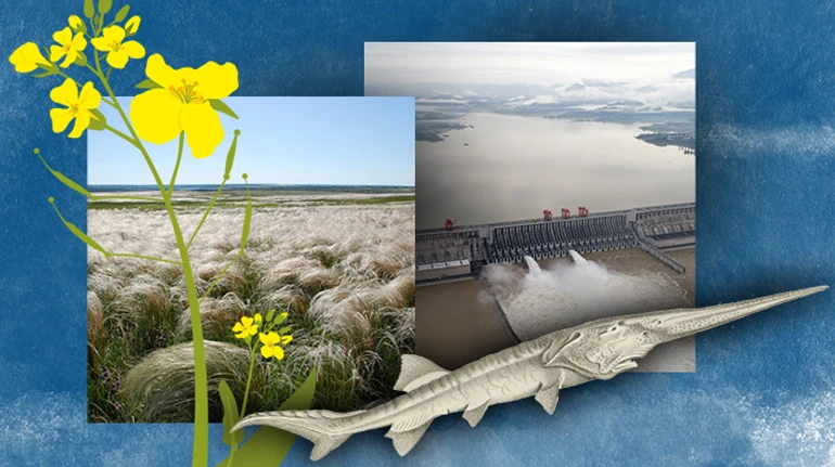 Жаба в окропі. Чому людство не лякає екологічна катастрофа