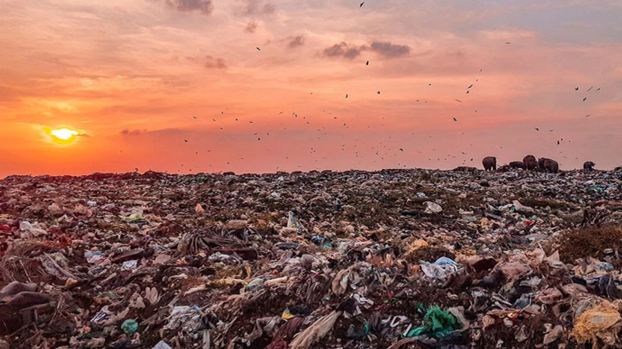 Russia plans to dump its rubbish on Ukraine's temporarily occupied territories