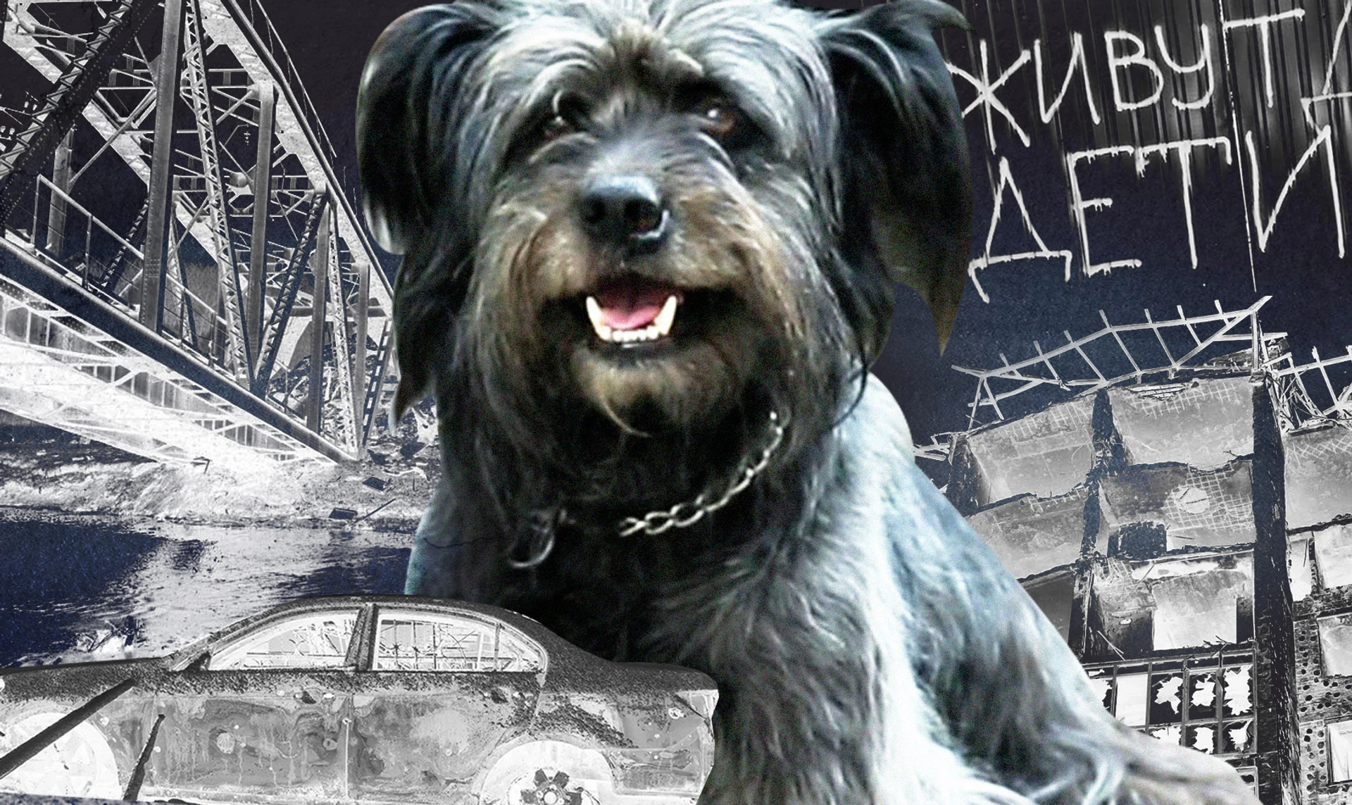 Buckwheat with the taste of death. Four weeks of the occupation of Irpin through the eyes of Kuzia the shaggy dog